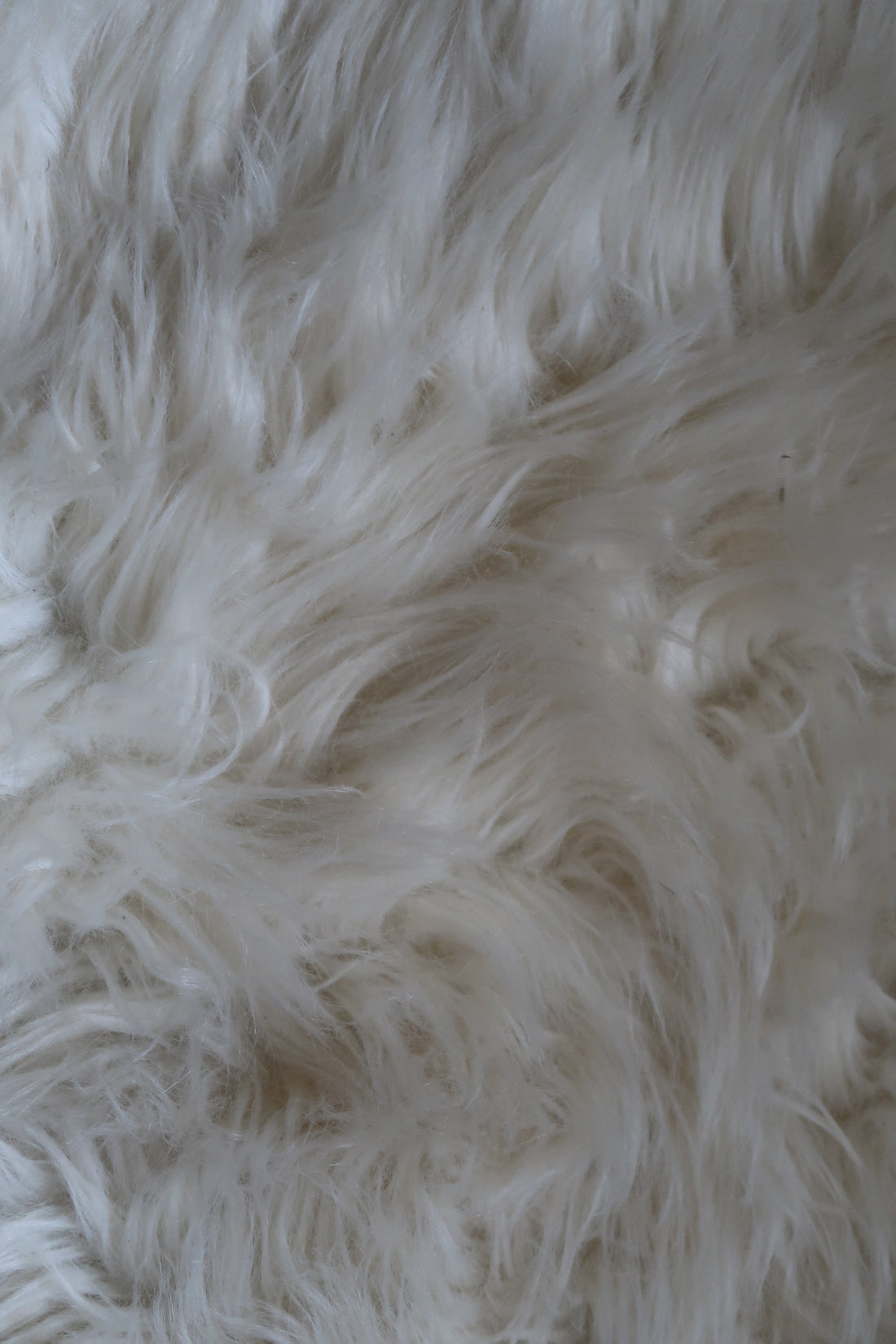 The rug on the floor of my room that I like to lie on.